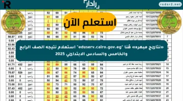 «نتائج مبهرة» هُنا “eduserv.cairo.gov.eg” استعلام نتيجة الصف الرابع والخامس والسادس الابتدائي 2025